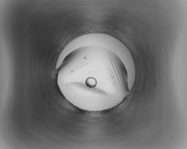 X0000108480384200905011207
