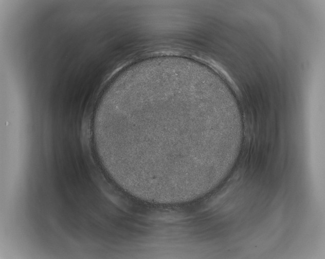 X0000108480386200905011206