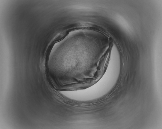 X0000108480387200905011206