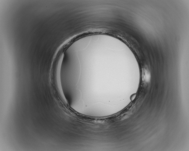 X0000108480388200905011206