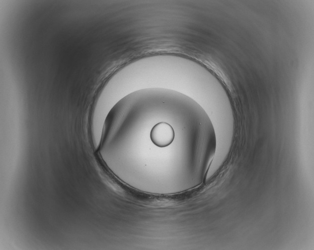 X0000108480397200905011206