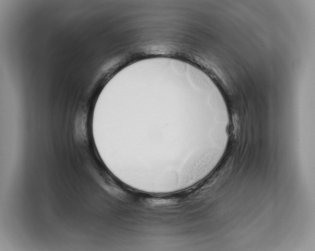X0000108480400200905011206