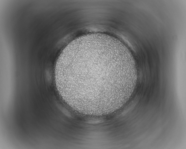 X0000108480402200905011206