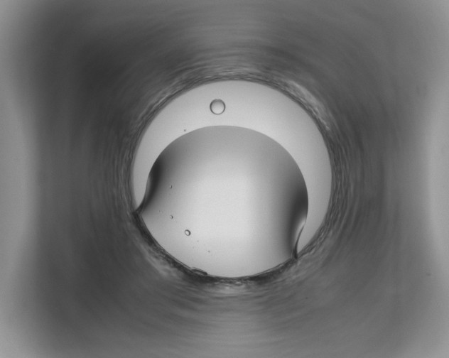 X0000108480405200905011206