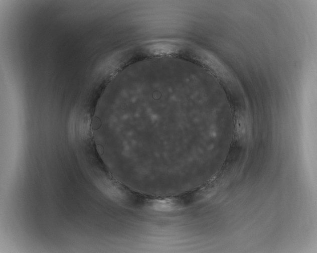 X0000108480411200905011206