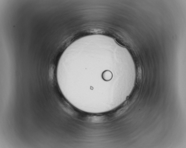X0000108480412200905011206