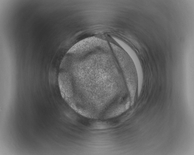 X0000108480413200905011206