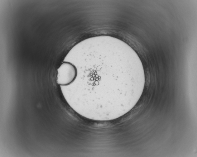 X0000108480414200905011206
