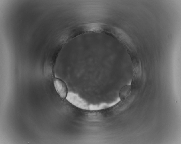 X0000108480415200905011206