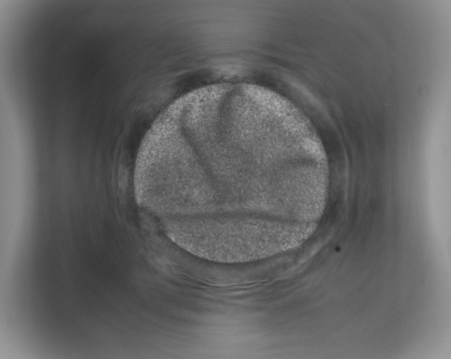 X0000108480417200905011206