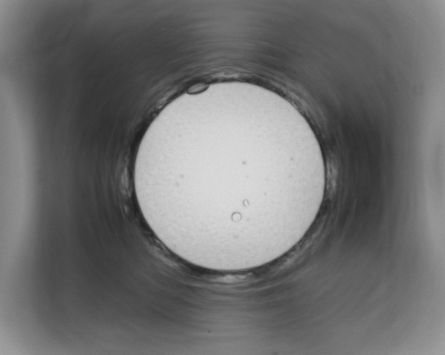 X0000108480422200905011206