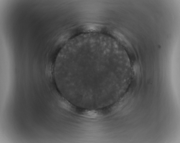 X0000108480423200905011206
