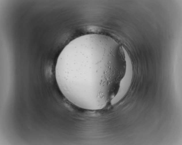 X0000108480424200905011206