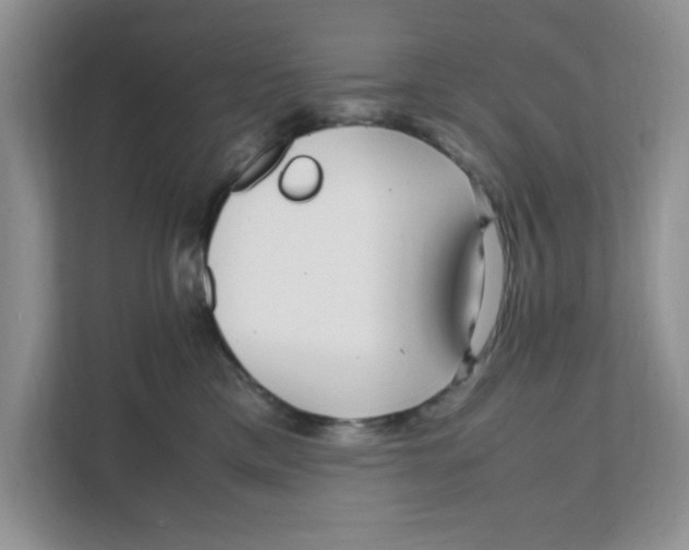 X0000108480425200905011206