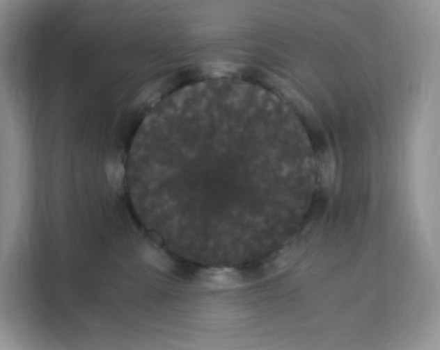 X0000108480427200905011206