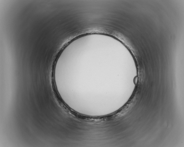 X0000108480434200905011205