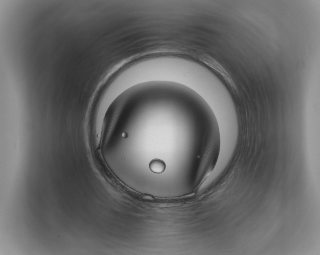 X0000108480436200905011205