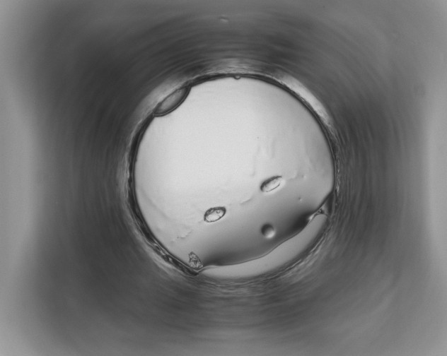 X0000108480437200905011205