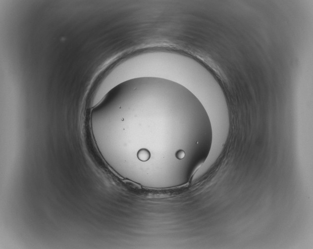 X0000108480440200905011205
