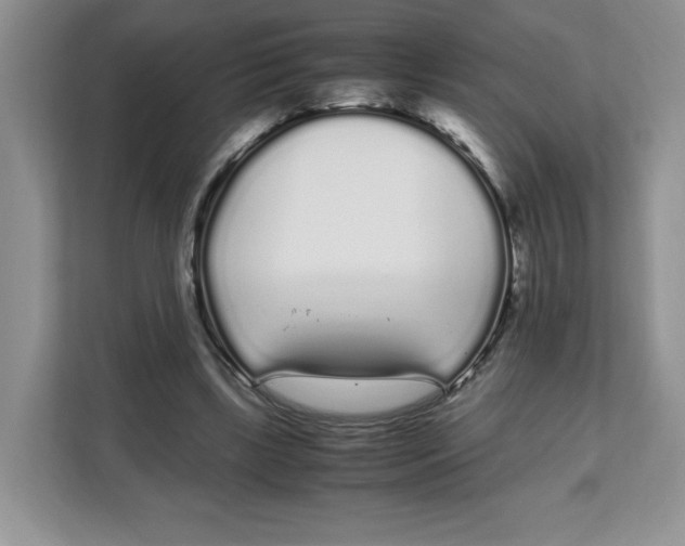 X0000108480443200905011205
