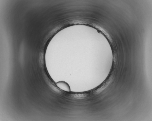 X0000108480445200905011205