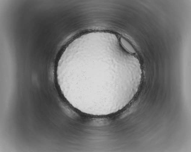 X0000108480446200905011205