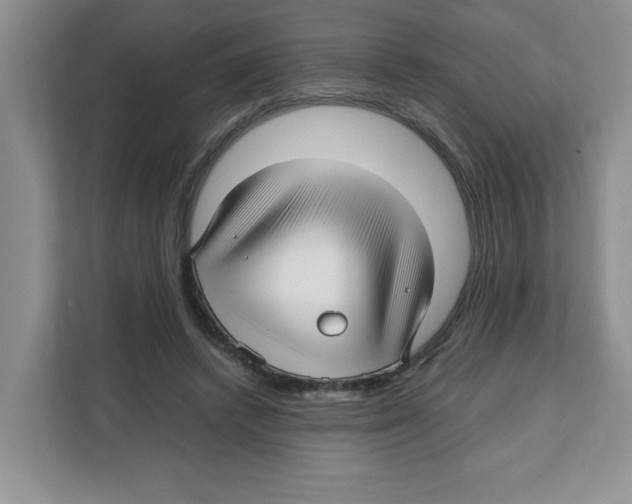 X0000108480448200905011205