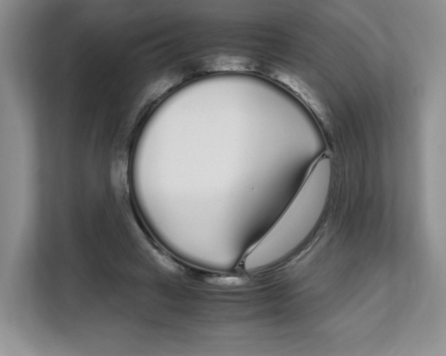 X0000108480449200905011205