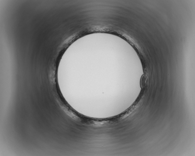 X0000108480450200905011205