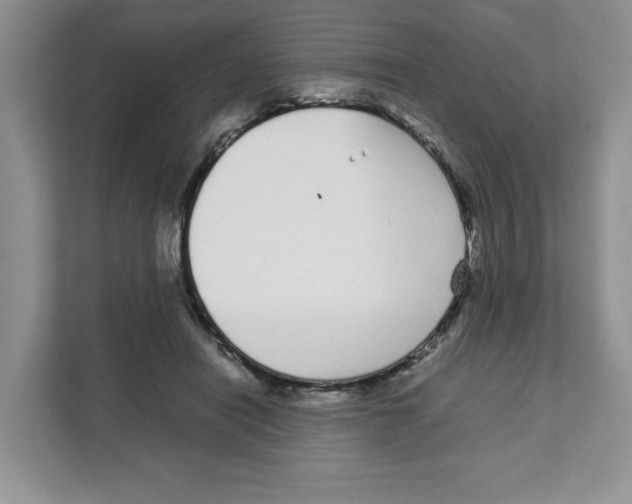 X0000108480454200905011205