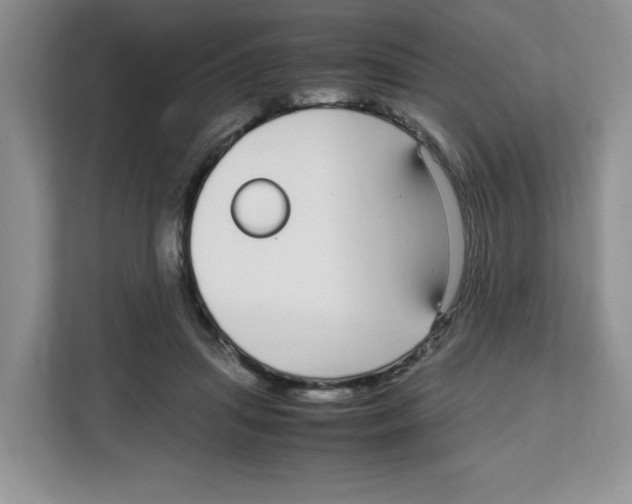 X0000108480455200905011205