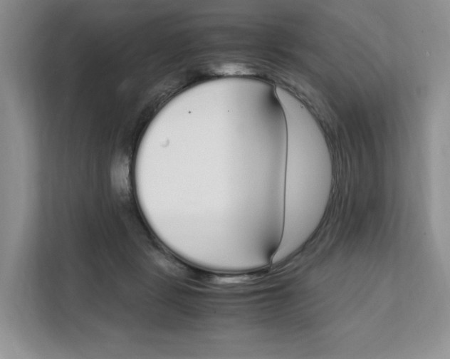 X0000108480461200905011205