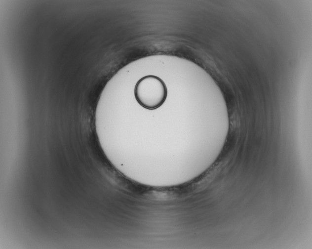 X0000108480464200905011205