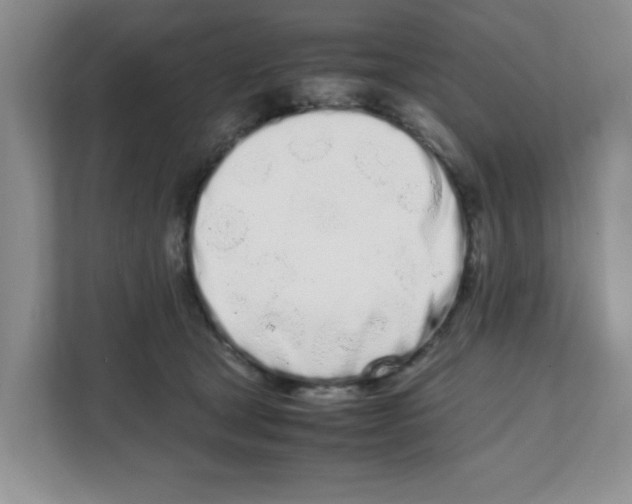 X0000108480465200905011205