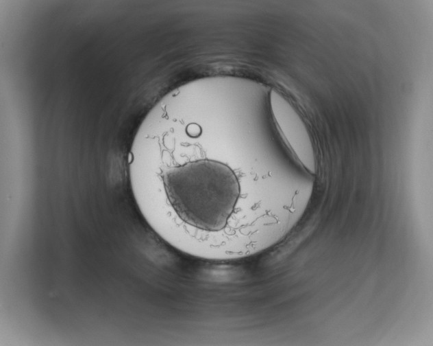 X0000108480467200905011205