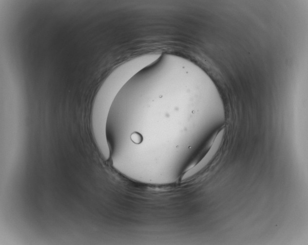 X0000108480469200905011205