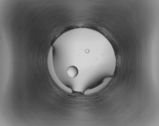 X0000108480470200905011205