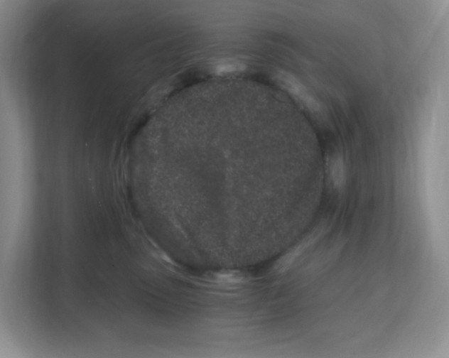 X0000108480475200905011205