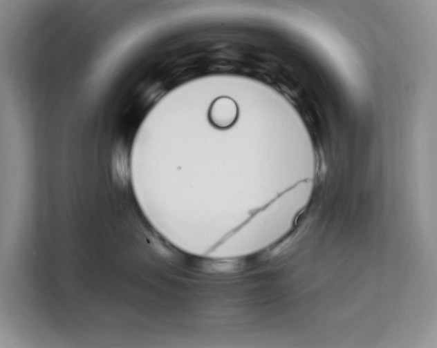 X0000108480479200905011205