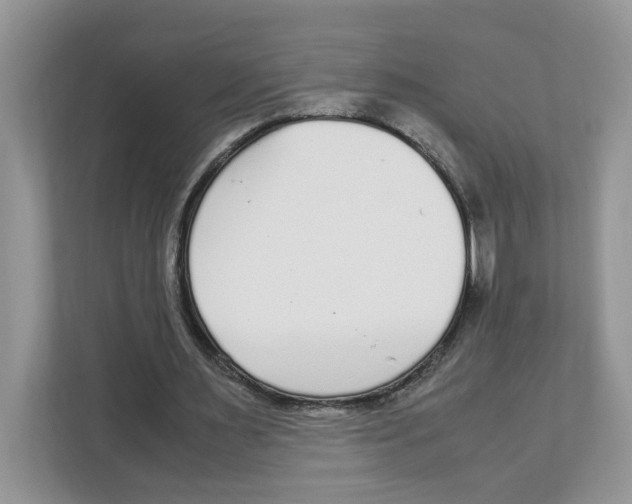 X0000108480483200905011205