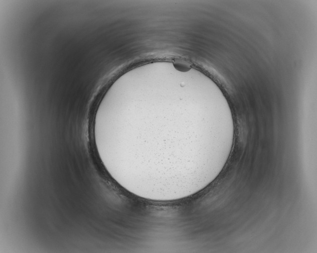 X0000108480486200905011205
