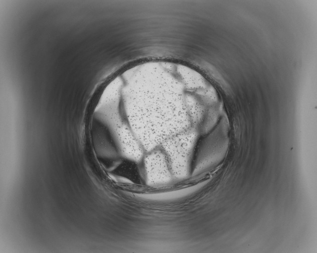 X0000108480488200905011205