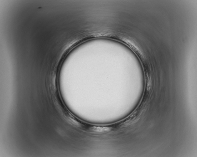 X0000108480491200905011205