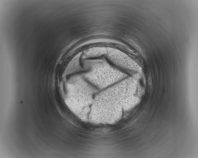 X0000108480492200905011205