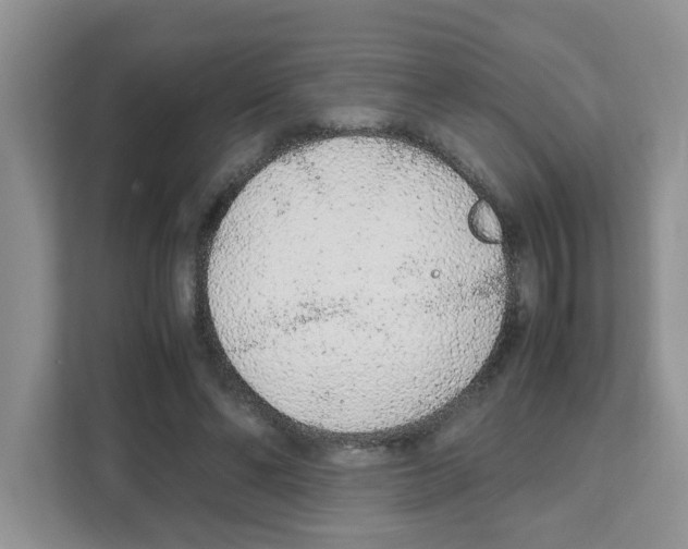 X0000108480494200905011205