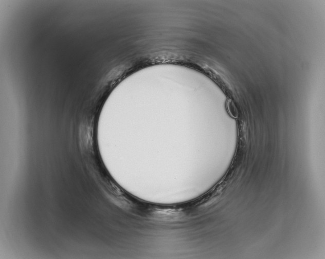 X0000108480499200905011205