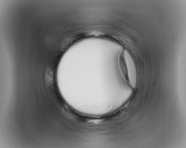 X0000108480503200905011205