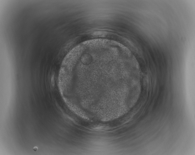 X0000108480504200905011205