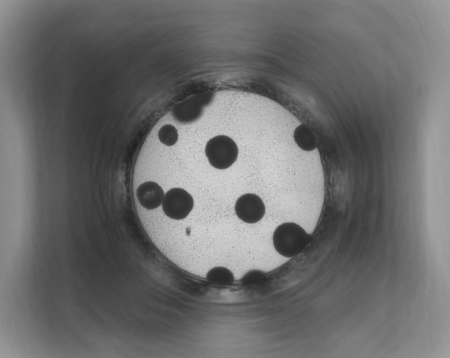 X0000108480506200905011205