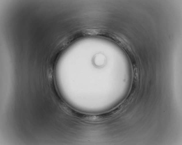 X0000108480507200905011205
